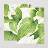 Carte Postale Plante Ficus 2 (Devant / Derrière)