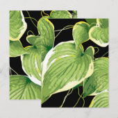 Carte Postale Plante Ficus 3 (Devant / Derrière)