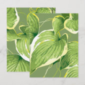 Carte Postale Plante Ficus 5 (Devant / Derrière)