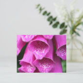 Carte postale Plante Foxglove (Debout devant)
