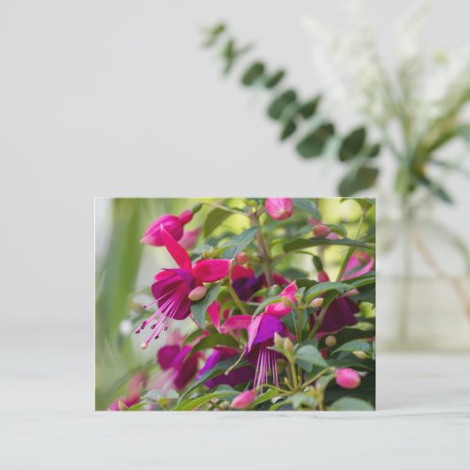 Carte Postale Plante Fuchsia (Debout devant)