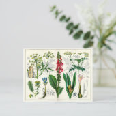 Carte Postale Plante malheureux (Debout devant)