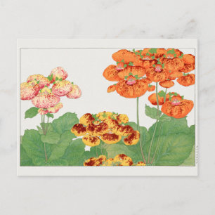 Carte Postale Plante Pocketbook par Tanigami Konan