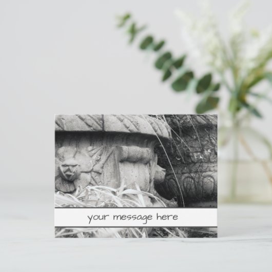 Carte Postale Plante Pots début printemps noir blanc message per (Debout devant)