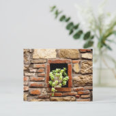 Carte Postale Plante succulent dans un mur de briques (Debout devant)
