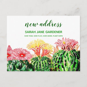 Carte Postale Plante Succulent de Cactus nouvelle adresse person