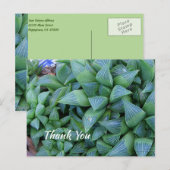 Carte postale Plante Succulent Merci vert personna (Devant / Derrière)