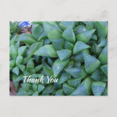 Carte postale Plante Succulent Merci vert personna (Devant)