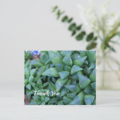 Carte postale Plante Succulent Merci vert personna (Debout devant)
