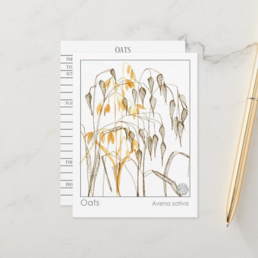 Carte Postale Plante sur les grains d'avoine Materia Medica Herb (Devant/Arrière en situation)