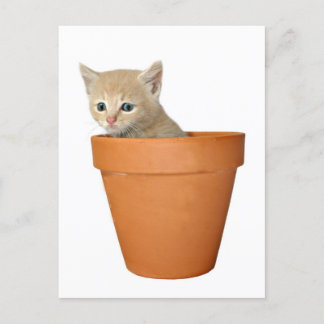Carte Postale Plante un peu d'amour
