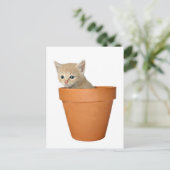 Carte Postale Plante un peu d'amour (Debout devant)