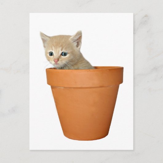 Carte Postale Plante un peu d'amour (Devant)