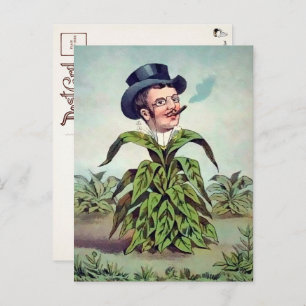 Carte postale Plante victorienne 