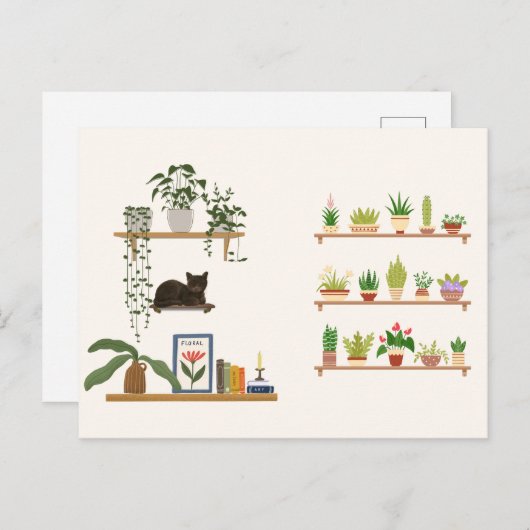 Carte Postale Plantes, Chats Et Livres - Boisson Chat esthétique (Devant / Derrière)