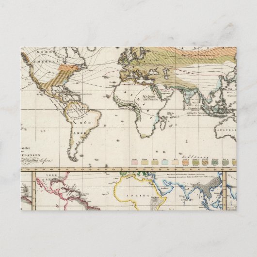 Carte Postale plantes cultivés les plus importants Districts (Devant)