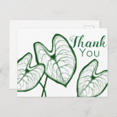 Carte Postale Plantes de Caladium modernes Merci (Devant / Derrière)