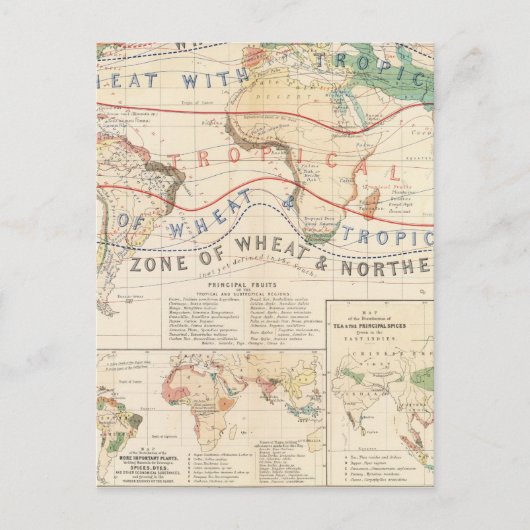 Carte Postale Plantes de distribution (Devant)