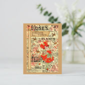 Carte Postale Plantes de Londres (Debout devant)