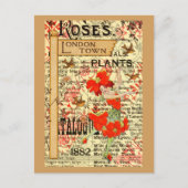 Carte Postale Plantes de Londres (Devant)