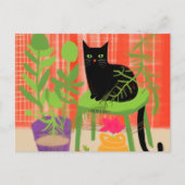 Carte Postale Plantes de maison de chat noir (Devant)