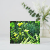 Carte Postale Plantes de Pitcher Jaune (Debout devant)