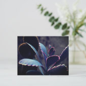 Carte Postale Plantes du désert (Debout devant)