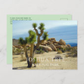 Carte Postale Plantes du désert, Boulders géants, Joshua Tree NP (Devant / Derrière)