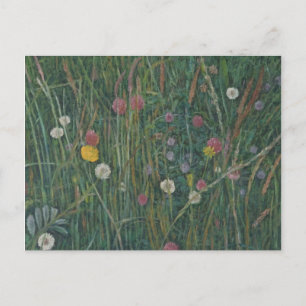 Carte Postale Plantes du Machair 2008