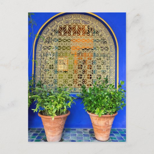 Carte Postale Plantes en pot au jardin (Devant)