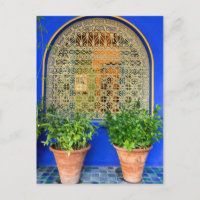 Plantes en pot au jardin