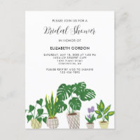 Plantes en pot d'intérieur pour Baby Shower de mar