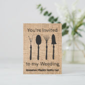 Carte Postale Plantes invasifs (Debout devant)