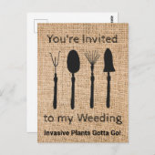 Carte Postale Plantes invasifs (Devant / Derrière)