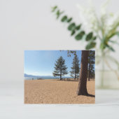 Carte Postale Plantes vertes du lac Tahoe (Debout devant)