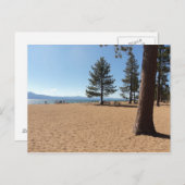 Carte Postale Plantes vertes du lac Tahoe (Devant / Derrière)
