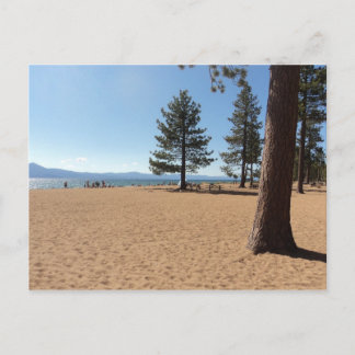 Carte Postale Plantes vertes du lac Tahoe