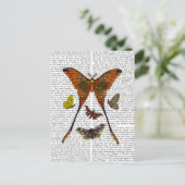 Carte Postale Plaque 2 (Debout devant)