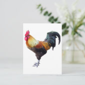 Carte Postale Plaque de coq (Debout devant)
