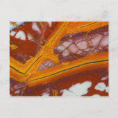 Carte Postale Plaque rocheuse Noreena Jasper (Devant)