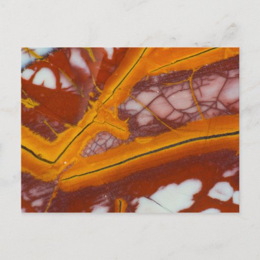 Carte Postale Plaque rocheuse Noreena Jasper (Devant)