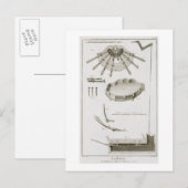 Carte Postale Plaque XX : La propagation et le fonctionnement de (Devant / Derrière)