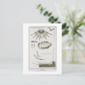 Carte Postale Plaque XX : La propagation et le fonctionnement de (Debout devant)