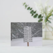 Carte Postale Plaques (Debout devant)