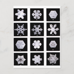 Carte Postale Plaques de flocon de neige Photographie météorolog