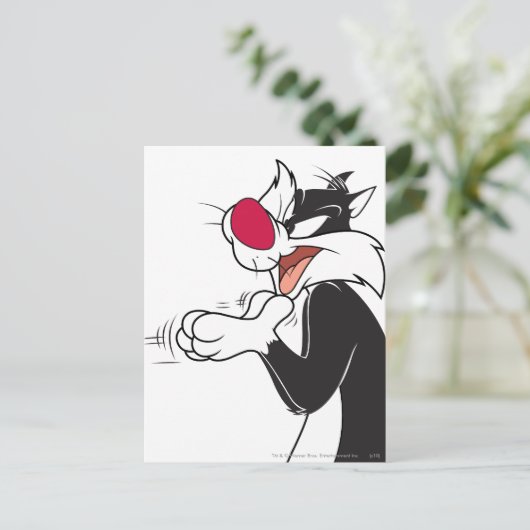 Carte Postale Plaques de frottement SYLVESTER™ (Debout devant)