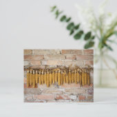 Carte Postale Plaques de maïs séchées (Debout devant)