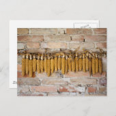 Carte Postale Plaques de maïs séchées (Devant / Derrière)