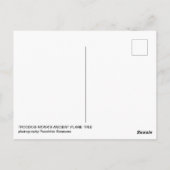 Carte Postale Platarbre forestier de Chypre ancienne nature fore (Dos)