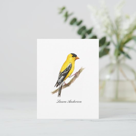 Carte postale plate American gold finch (Debout devant)
